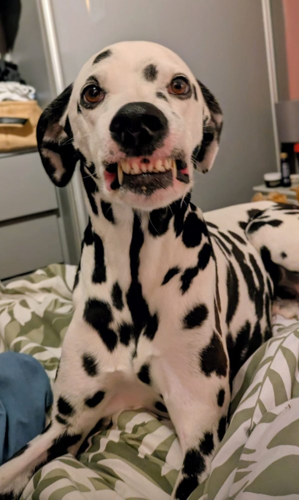 Support whether your up or your down ,being there.