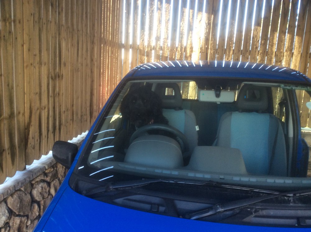 Travelling on the open road in my little car and lovely companion.