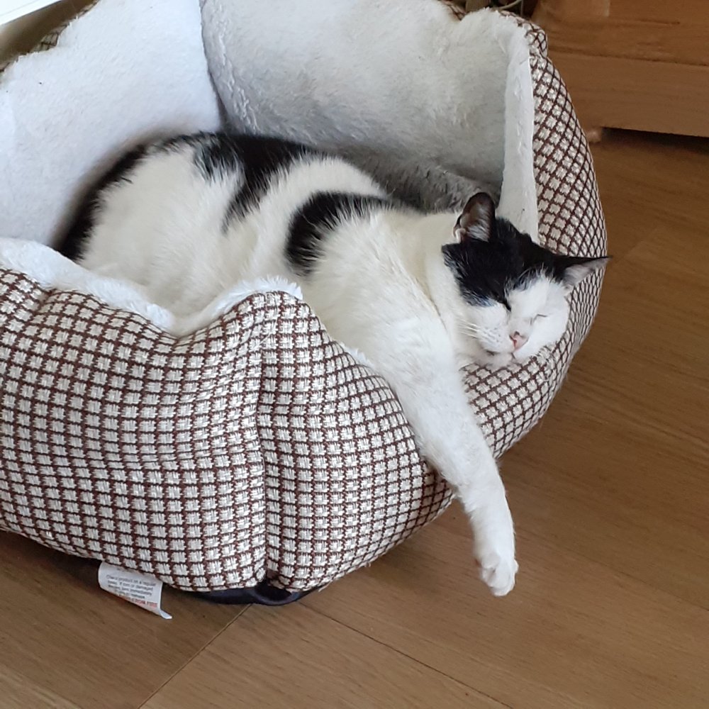 Total dedication to each other.