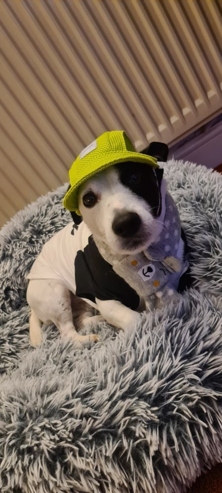 He is in the caption.  ❤️????