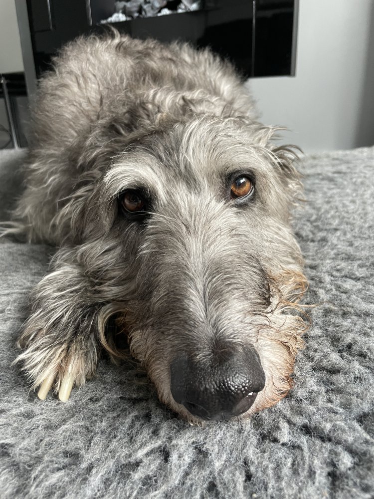 If love had a look it would be this...I think she was daydreaming about cheese