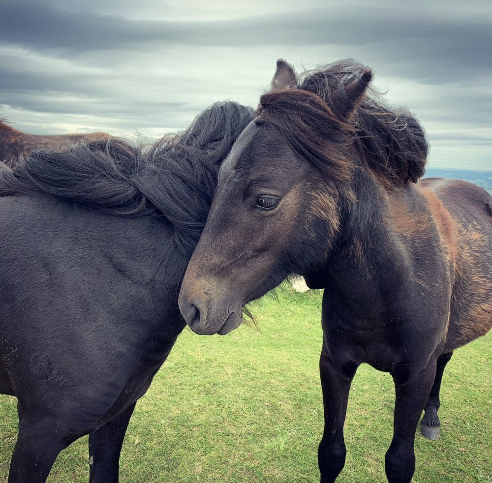Love is spoken softly,  in gentle gestures and quiet moments shared. 