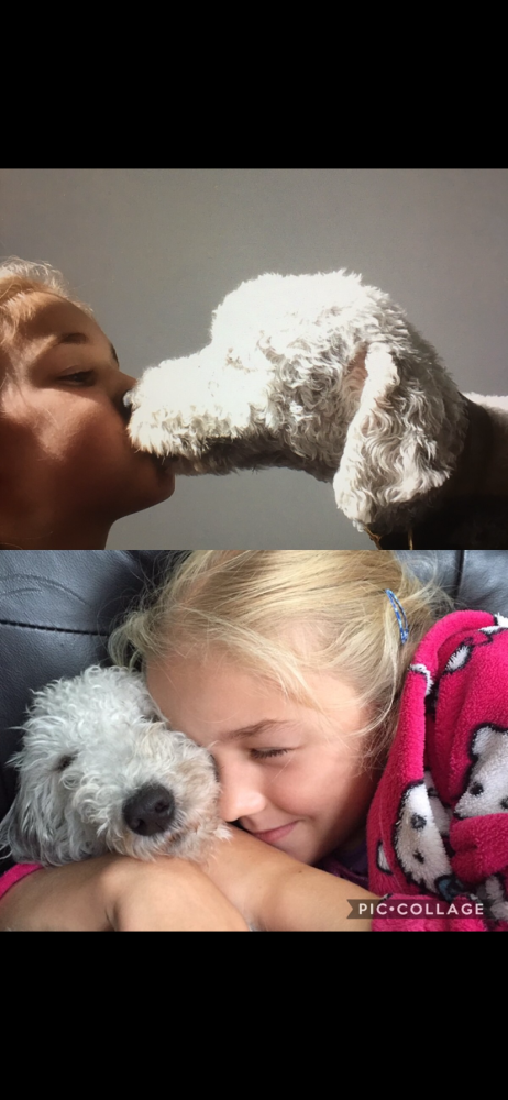 Man’s (and girl’s!) best friend. These 2 are inseparable and love each other so much!